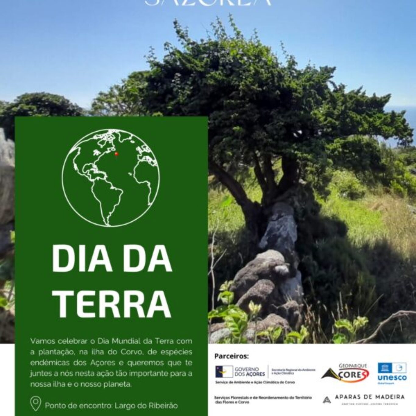 Plantação de Endémicas na Ilha do Corvo