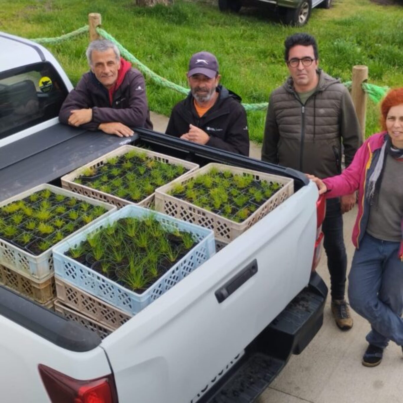 Plantação de Endémicas no Corvo